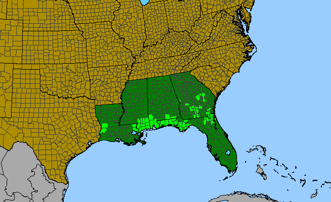 The range of Sabatia macrophylla var. recurvans